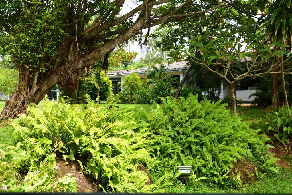 River View Banquet & Resort Wadduwa Exterior photo